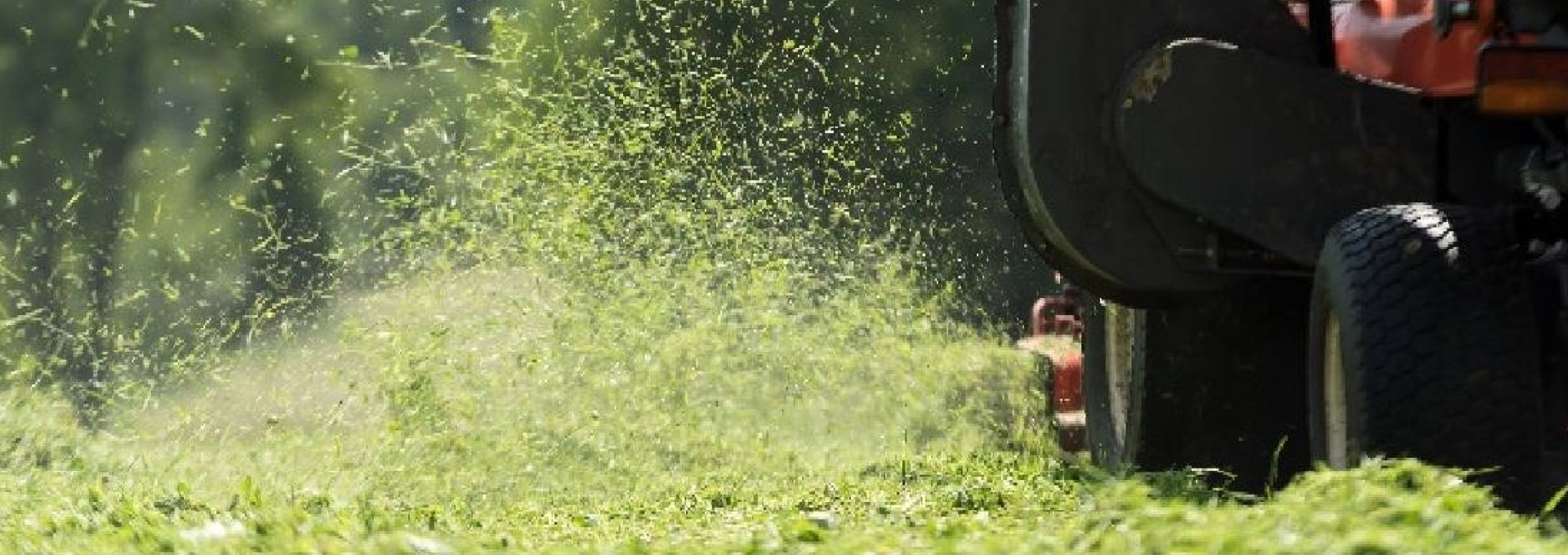 Σε 18 μέρες έγιναν 3.748 καταγγελίες για ακαθάριστα οικόπεδα