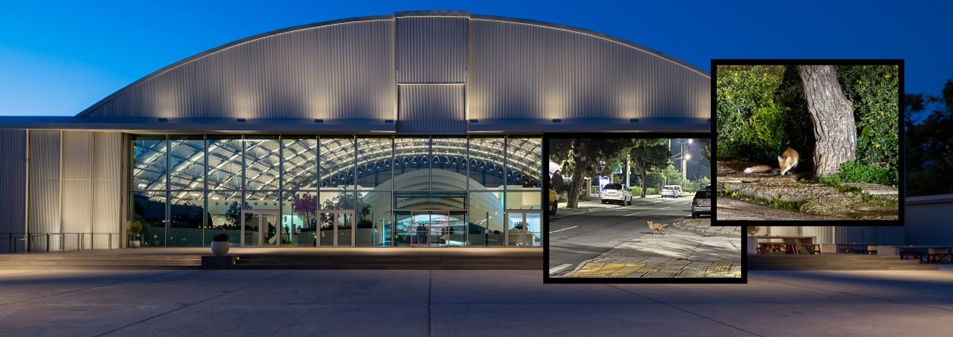 Επένδυση στο Ελληνικό: Οι «ξεριζωμένοι γείτονες» που ζητούν μια γωνιά για να επιβιώσουν