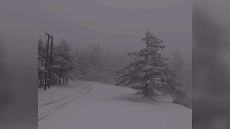 Χιόνισε στην Πάρνηθα