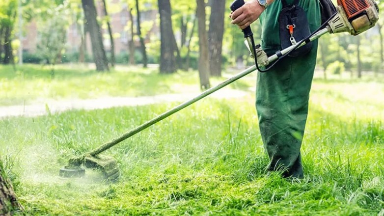 Ακαθάριστα οικόπεδα: Από 1η Απριλίου ο υποχρεωτικός καθαρισμός
