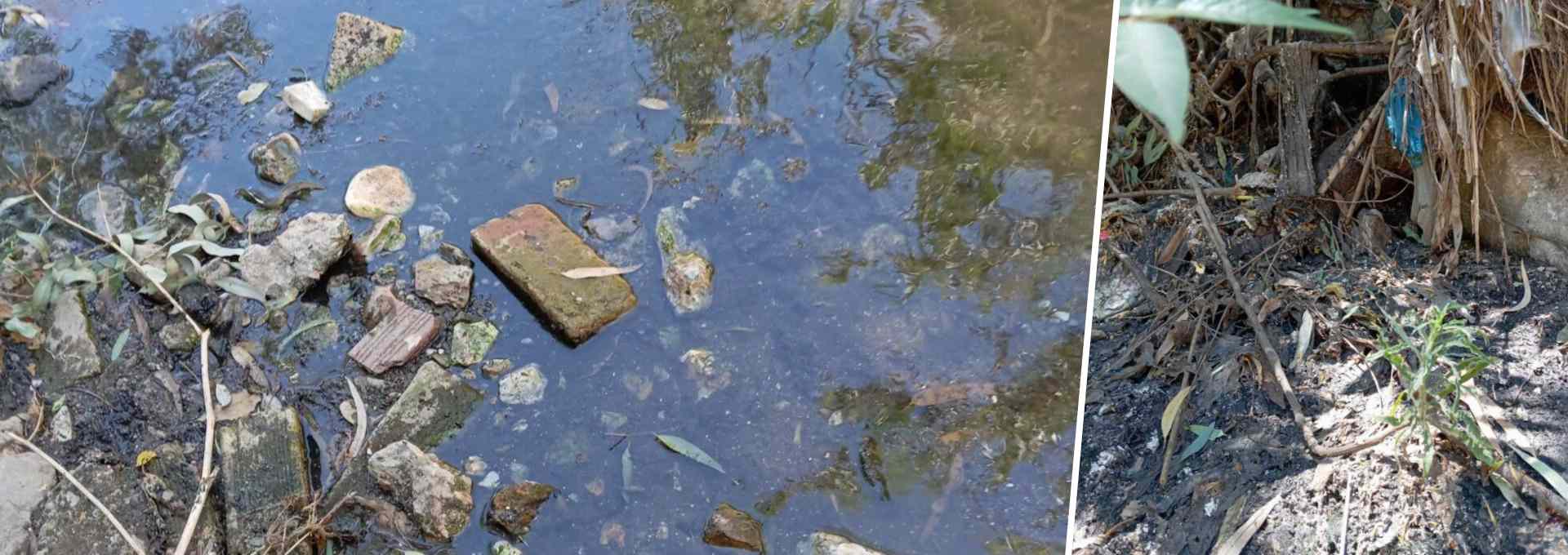 Ρέμα Πικροδάφνης: SOS από τους πολίτες για τις απορρίψεις λυμάτων